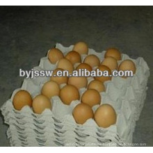 Material de embalaje de bandeja de huevo
